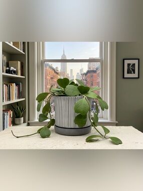 Modern Ribbed Ceramic Planter with Saucer - 6 Inch Round Grey and White Striped